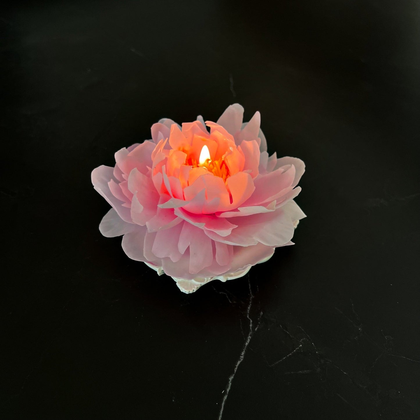 Signature Peony - Kerze Pink - Exclusive by Olga