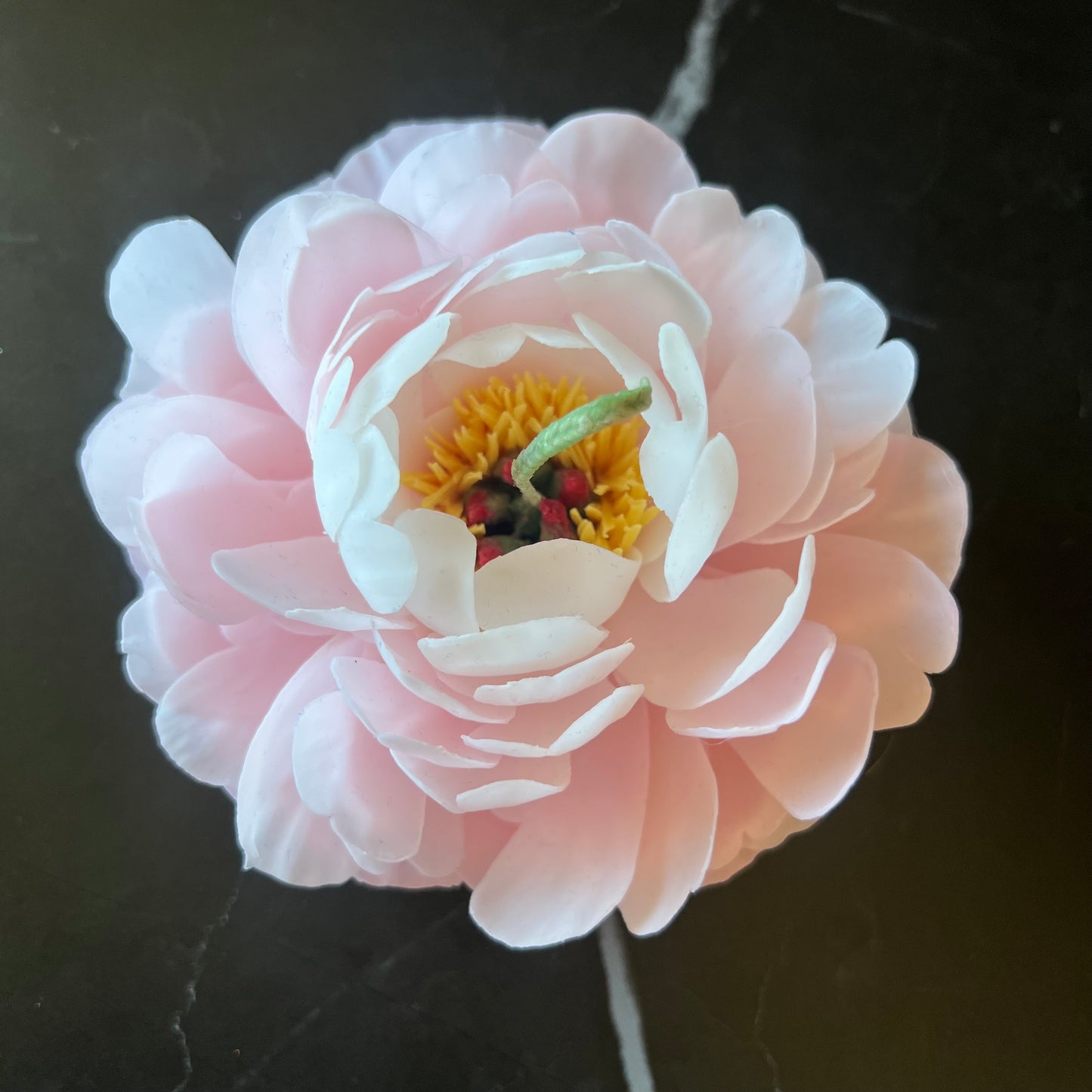 Signature Peony-Kerze Pink - Weiß