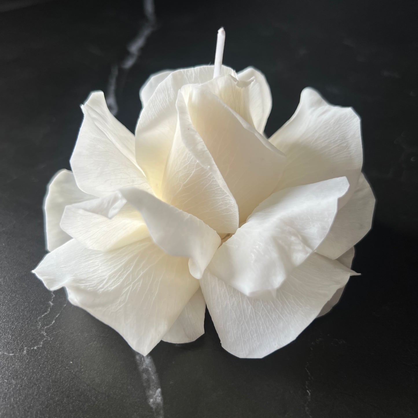 Signature French Rose