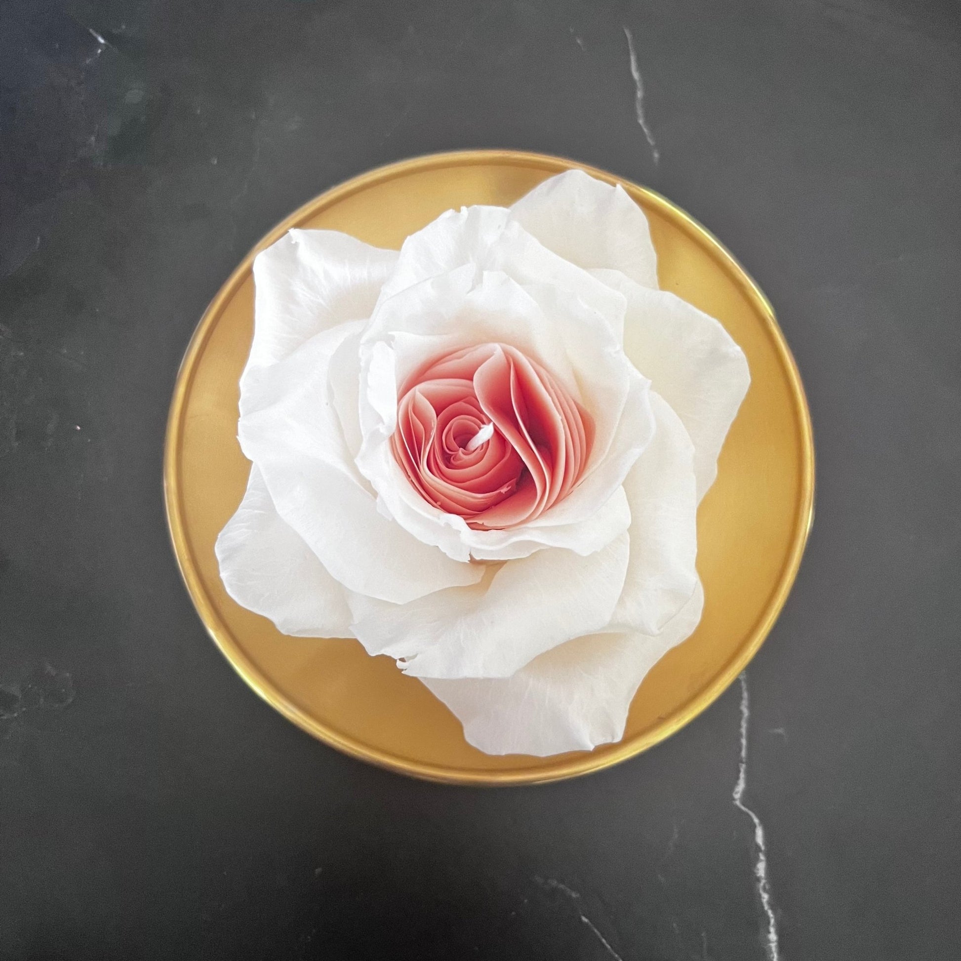 Rose Weiß Pink - Exclusive by Olga
