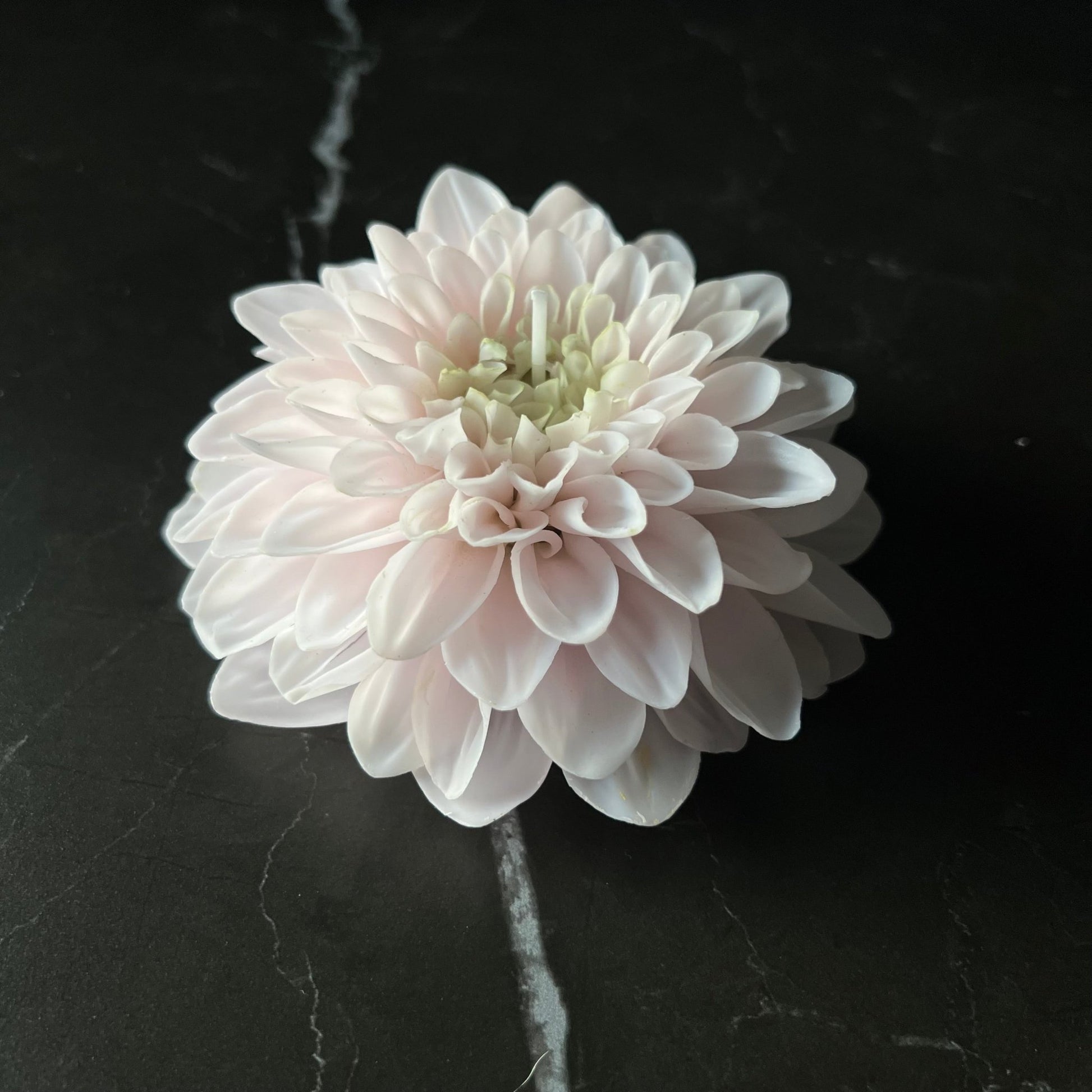 Siganture Dahlia Kerze - Exclusive by Olga