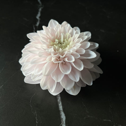 Siganture Dahlia Kerze - Exclusive by Olga
