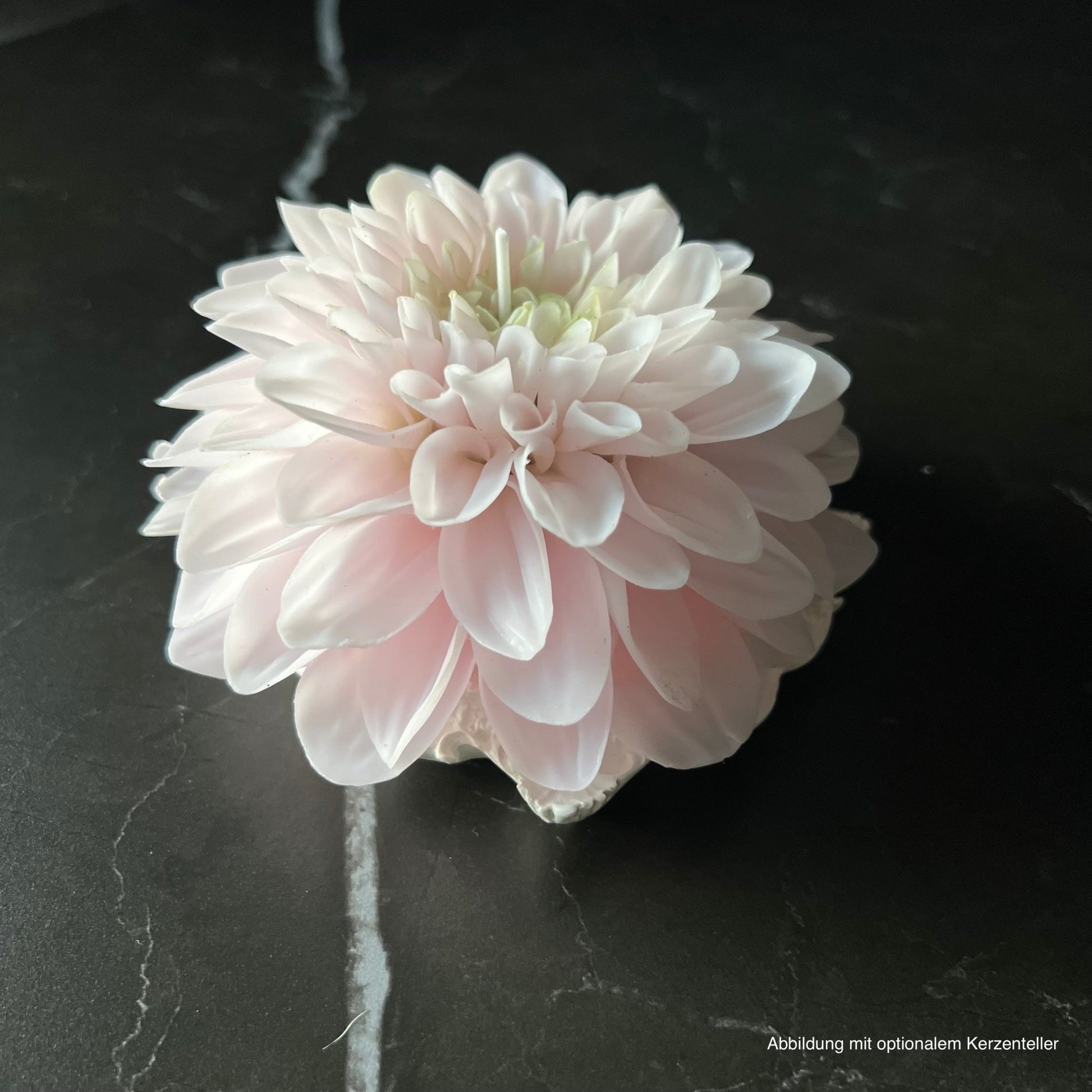 Siganture Dahlia Kerze - Exclusive by Olga