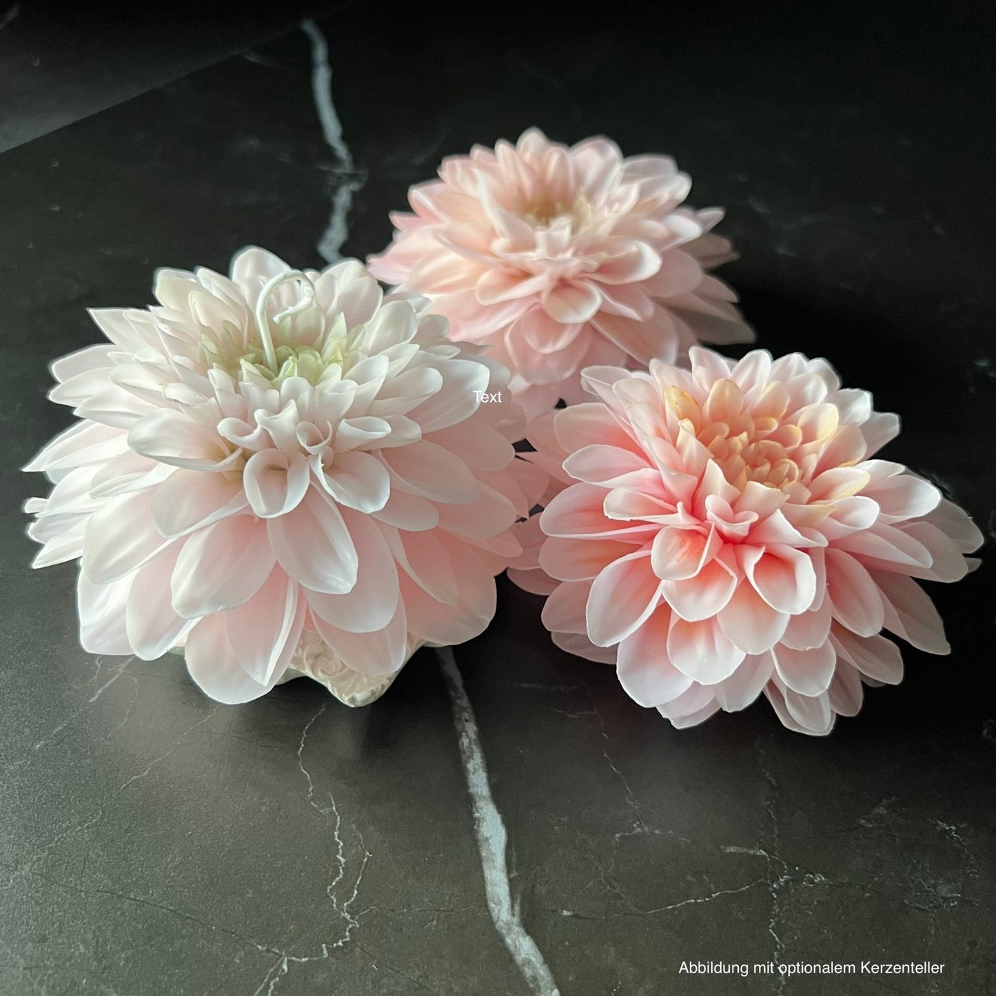 Siganture Dahlia Kerze - Exclusive by Olga