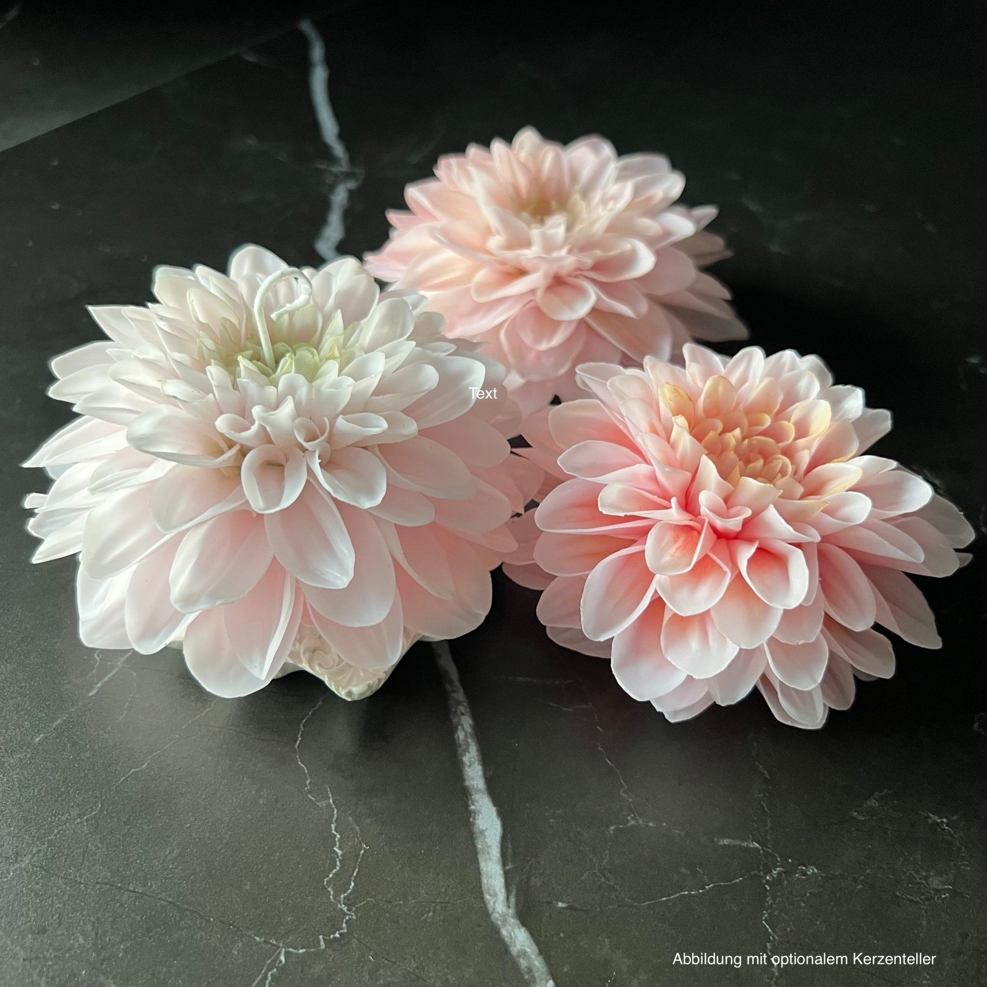 Siganture Dahlia Kerze - Exclusive by Olga