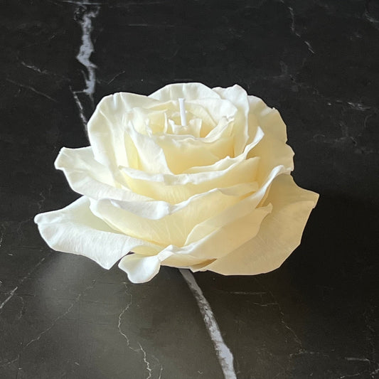 Siganture Rose - Kerze Weiß - Exclusive by Olga