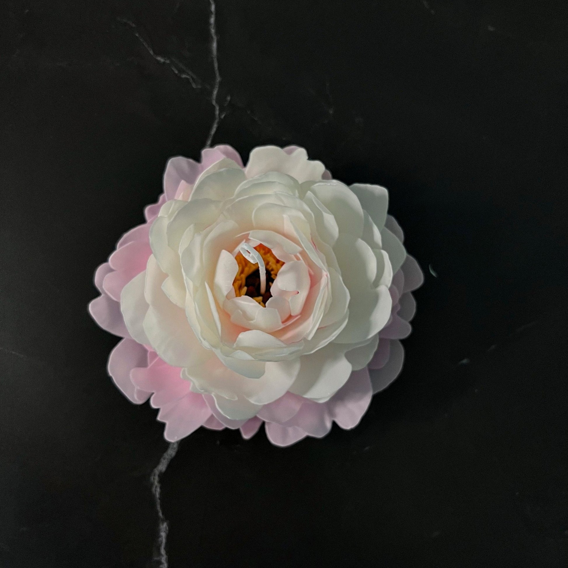 Signature Peony - Kerze Pink - Weiß - Exclusive by Olga
