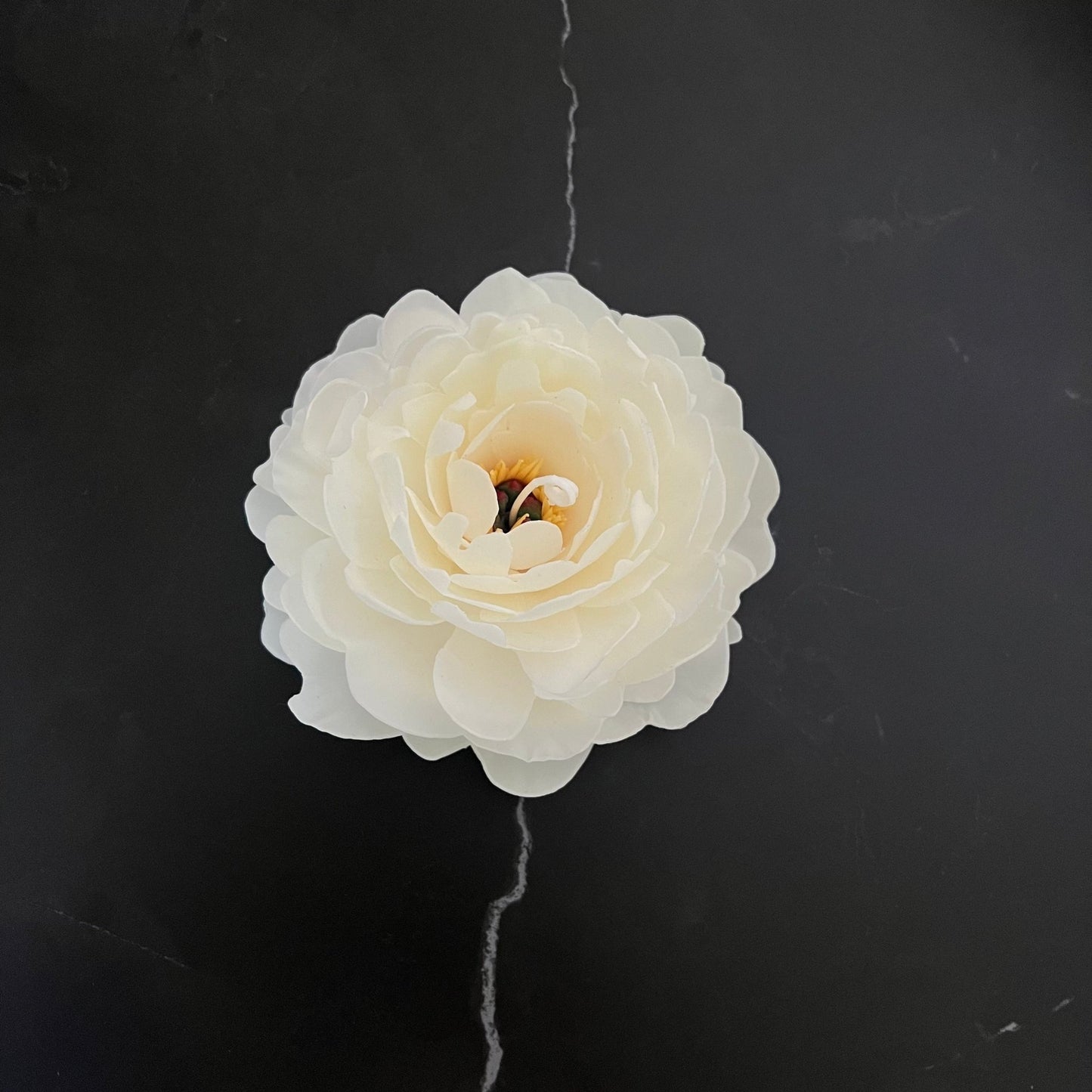 Signature Peony - Kerze Weiß - Exclusive by Olga
