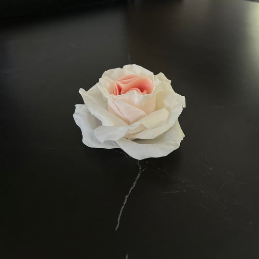 Signature Rose Weiß Pink - Exclusive by Olga