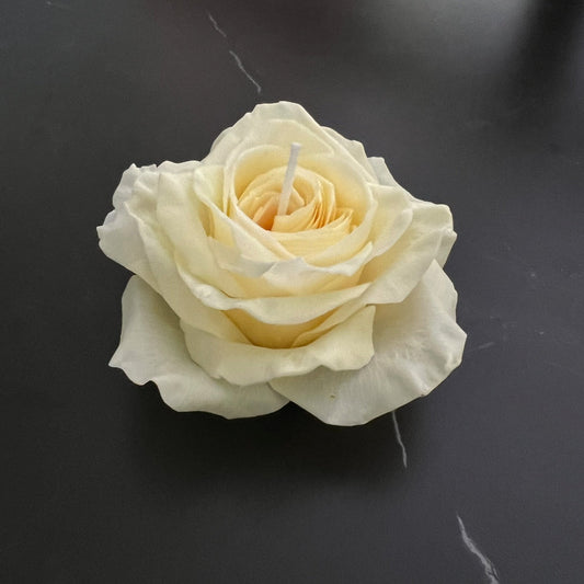 Signature Rosen - Kerze Gelb - Exclusive by Olga
